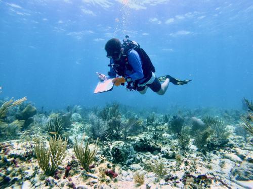 Aaron checking corals
