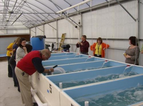 Youth Programs Tropical Aquaculture Laboratory University Of Florida Institute Of Food And