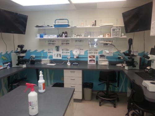 view of the diagnostic lab at TAL