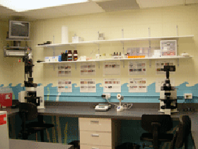 diagnostic lab bench 