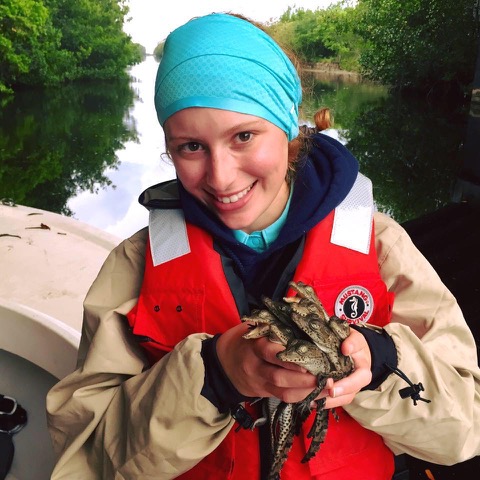 Casey Murray with hands full of baby alligators