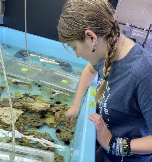 Maggie Dakin with long-spined urchins