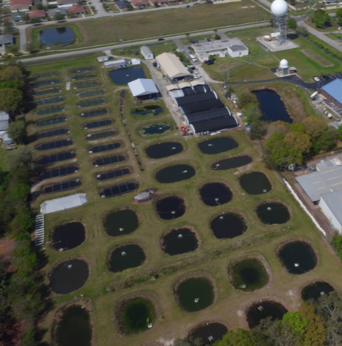 Tropical Aquaculture Laboratory aerial 