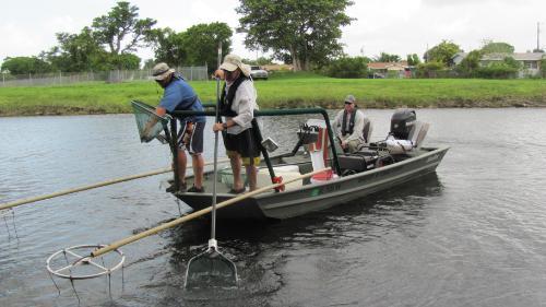 Boat electro-fishing canal